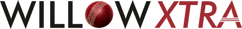 Willow Cricket 2 logo