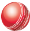 International Cricket logo